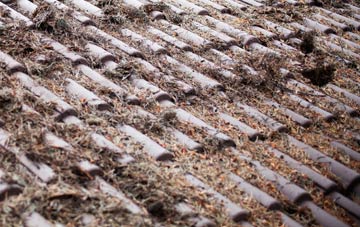 Tacker Street roof cleaning companies